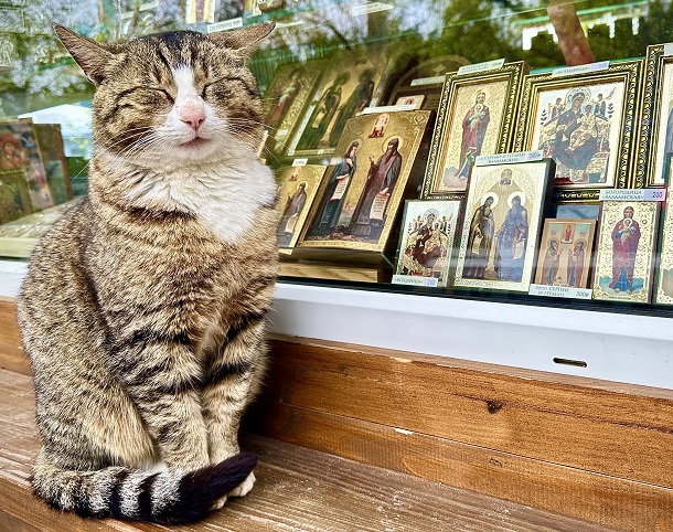 Слайд 2  Северо-Запад